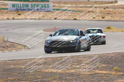 media/Oct-25-2025-West Coast Racing (Sat) [[9fdcbcd09c]]/Yellow group/Turn 4/